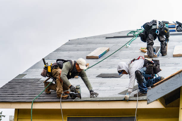 Professional Gutter Installation technician working in North Branch, MI